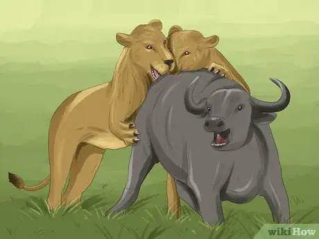 Image titled Identify Empathy in Animals Step 3