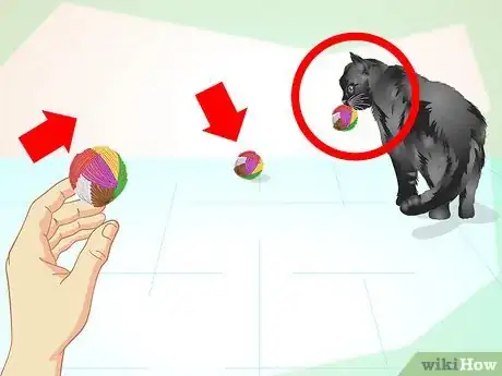 Image titled Train an Old Stubborn Cat to Do Tricks Step 8