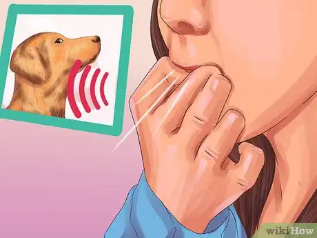 Image titled Get a Dog Out of a Busy Road Step 2