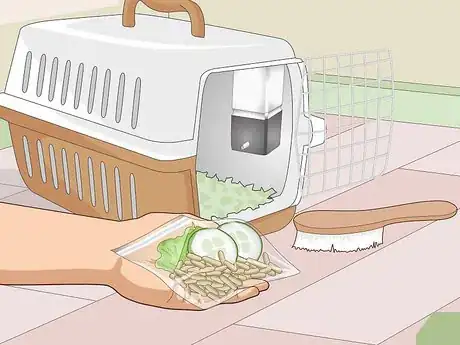 Image titled Prepare a Guinea Pig for Show Step 22