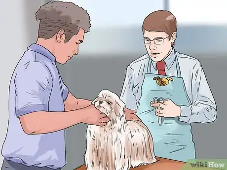 Image titled Get a Dog Ready for a Special Occasion Step 6
