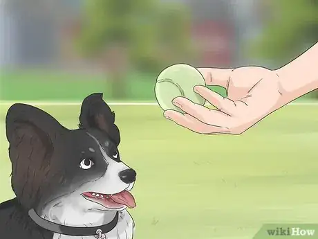 Image titled Give Dogs What They Need Step 15