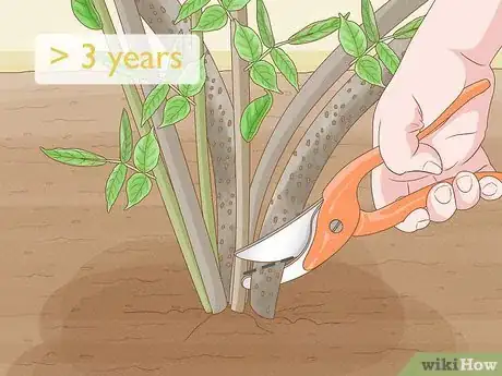 Image titled Prune Elderberries Step 5