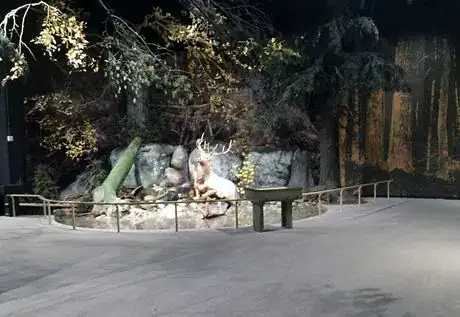 Image titled Adirondack Wilderness NYSM