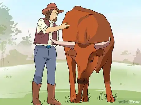 Image titled Ride a Steer Step 1