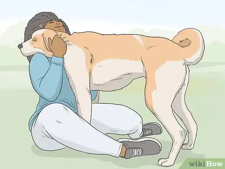 Image titled Train Seizure Alert Dogs Step 4