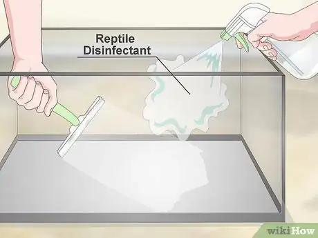 Image titled Care for a Tokay Gecko Step 11