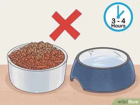 Image titled Get Your Ferret Spayed or Neutered Step 5