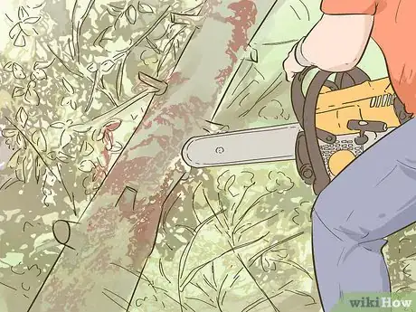 Image titled Be a Logger Step 11