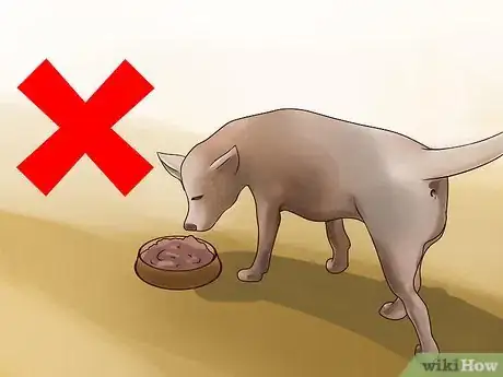 Image titled Treat Canine Kidney Disease Step 1