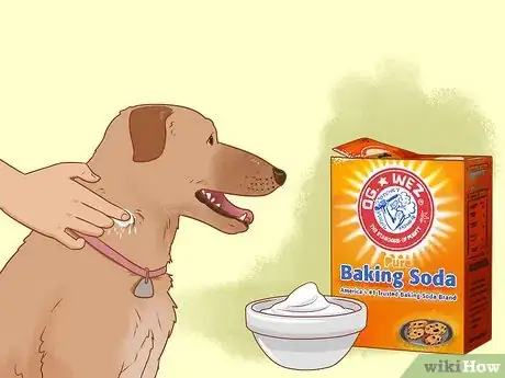 Image titled Treat an Insect Bite on a Dog Step 4