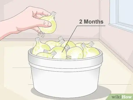 Image titled Grow Sweet Onions Step 16