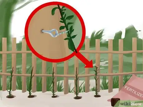 Image titled Train Clematis Step 11