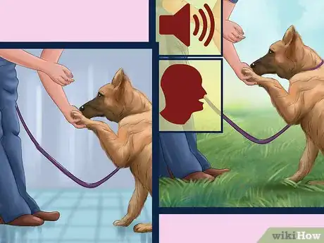 Image titled Avoid Confusing a Dog During Training Step 5