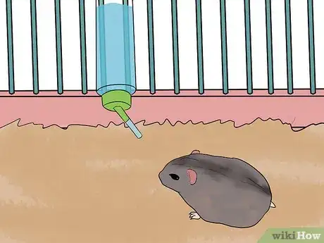 Image titled Set a Routine for Your Hamster Step 9