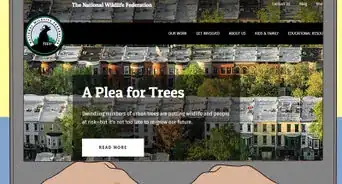 Do Your Part to Prevent Animal Extinction