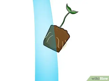 Image titled Grow Hydroponic Strawberries Step 13