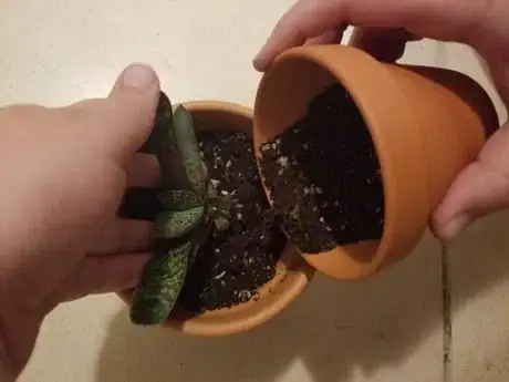 Image titled Pouringsoil