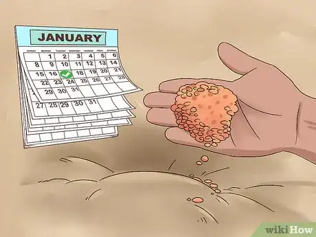 Image titled Make a Bulb Garden Step 23