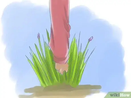 Image titled Take Care of Irises when Their Flowers Die Step 8