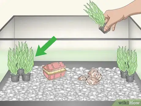 Image titled Care for Fancy Goldfish Step 4