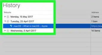 View Browsing History