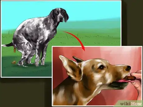 Image titled Housebreak a Dog with Positive Reinforcement Step 4