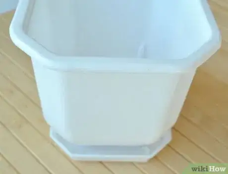 Image titled Make a Seashell Planter Step 1