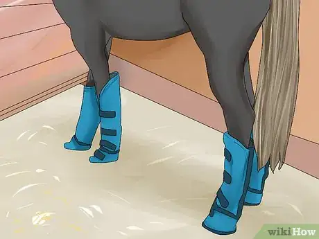 Image titled Take Your Horse on a Long Trailer Ride Step 6