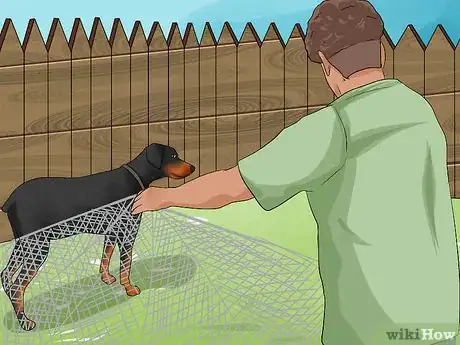 Image titled Approach an Injured Animal Step 11