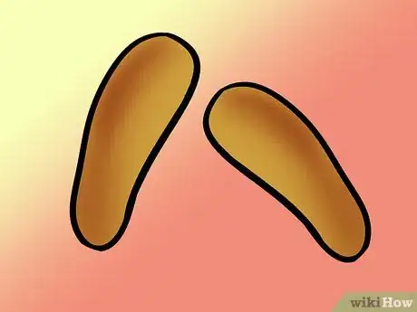 Image titled Build Shoe Insoles Step 5