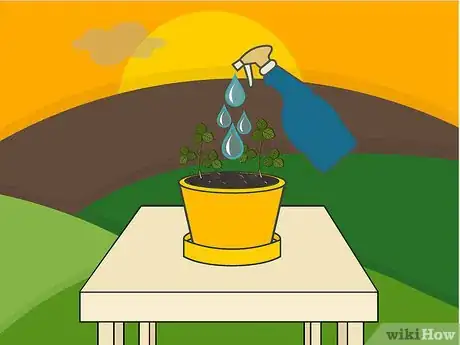 Image titled Grow Strawberries in a Pot Step 08