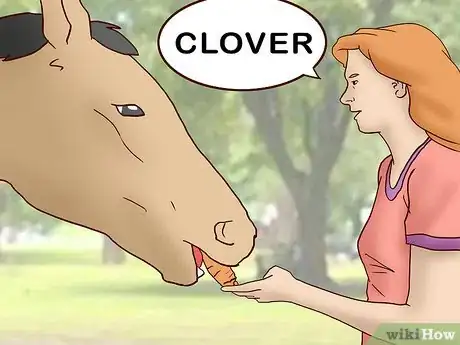 Image titled Teach a Horse to Come when Called Step 5