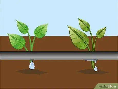 Image titled Conserve Water in Your Garden Step 12