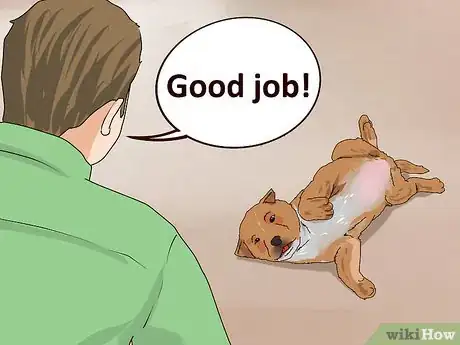 Image titled Have a Fun Day with Your Dog Step 9