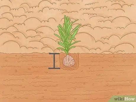 Image titled Grow an Herb Garden Step 9