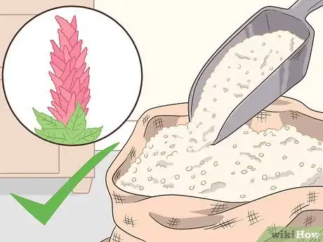 Image titled Choose Healthy Sources of Protein Step 6