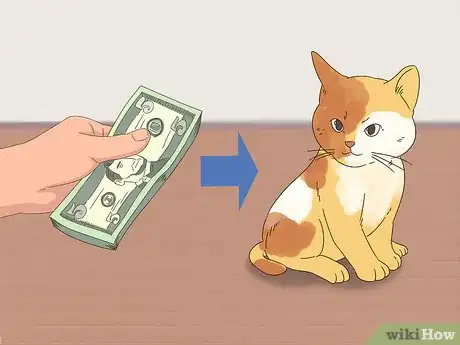 Image titled Find Homes for a Litter of Kittens Step 15