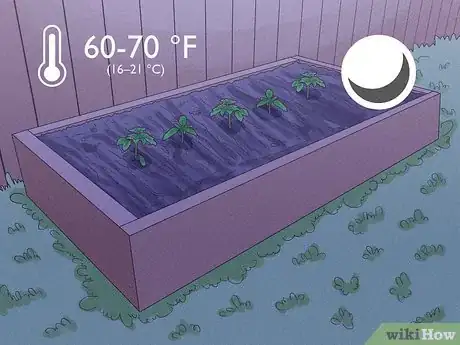 Image titled When to Plant Tomatoes Outside in the UK Step 5