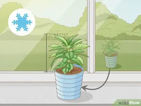 Image titled Grow Mandevillas Step 12