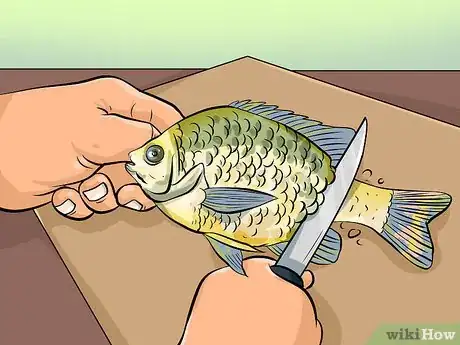 Image titled Clean Sunfish Step 3