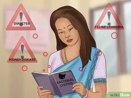 Image titled Treat Bacterial Cystitis in Cats Step 5