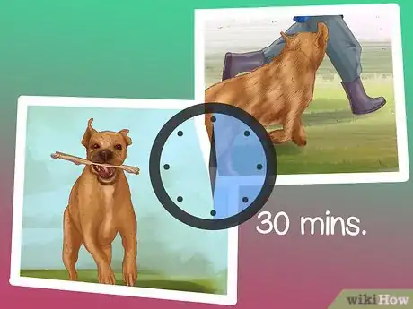 Image titled Give Your Large Dog Enough Exercise Step 4