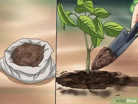 Image titled Plant Step 7