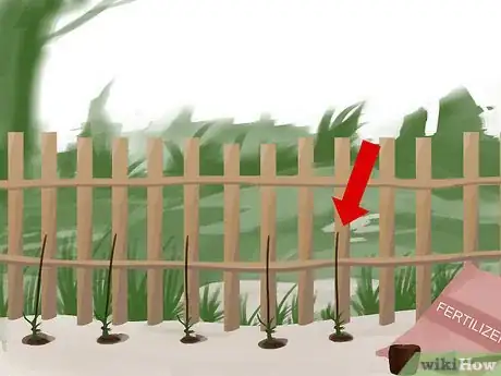 Image titled Train Clematis Step 10