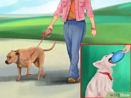 Image titled Keep an Older Dog Mentally Active Step 1