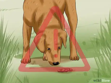 Image titled Treat Canine Coronavirus Step 9