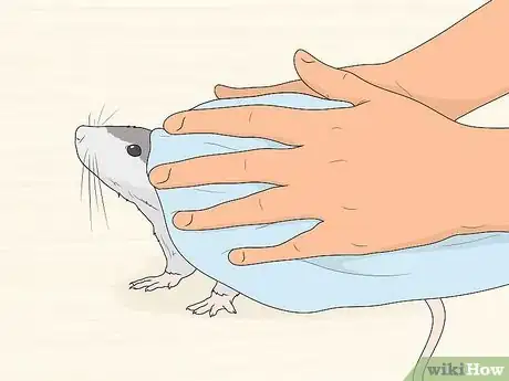 Image titled Reduce Rat Odor Step 5