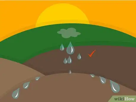 Image titled Grow Strawberries Step 05