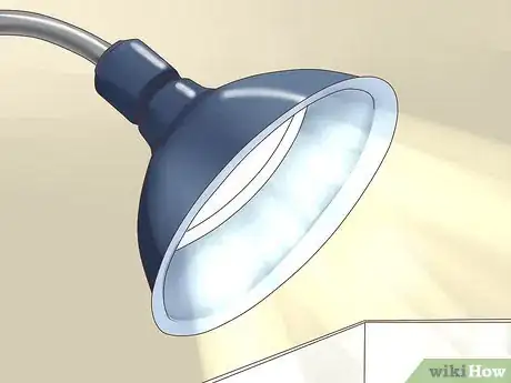 Image titled Set up a Green Anole Tank Step 6